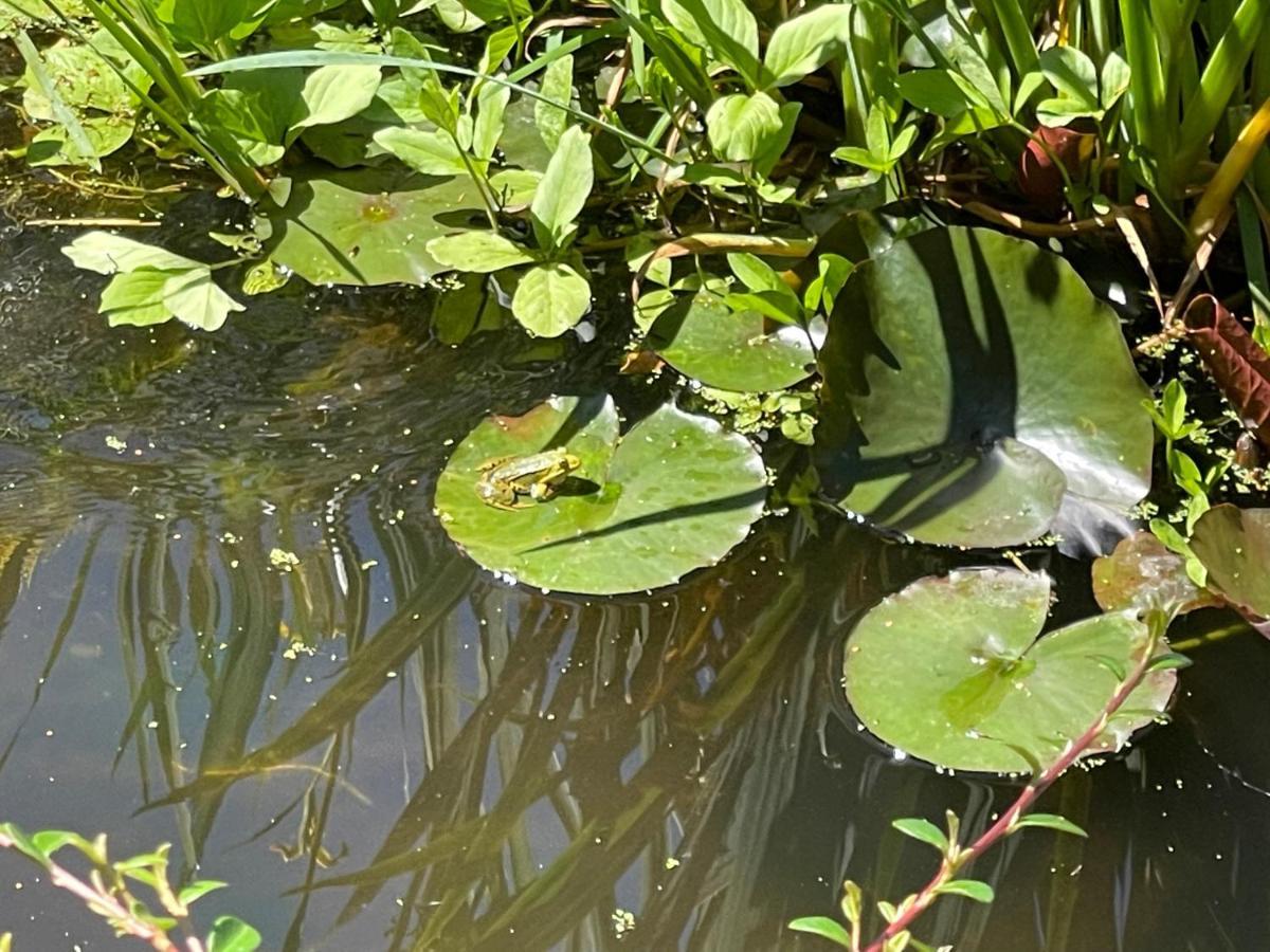 La Fontaine Romy Genneville